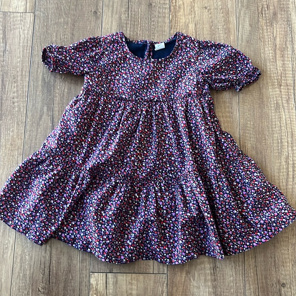 Baby Gap girls dress.